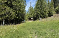 3516 DEEP LAKE BOUNDARY RD, COLVILLE, WA 99114