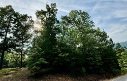 Lot 10 Shadow Wood Dr., Glencoe, AL 35905