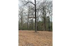 EDMONDS Road lot: 4A, Pollock, LA 71467