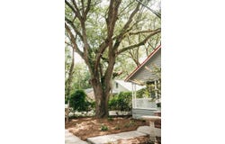 317 Bay Street, Walterboro, SC 29488