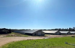 125 Columbia Road 51, Magnolia, AR 71753