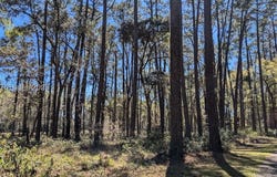 30 Volunteers Ridge, Daufuskie Island, SC 29915