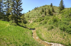 TBD County Road 249, Rifle, CO 81650