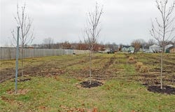 504 Pennsylvania Avenue, East Lynne, MO 64743