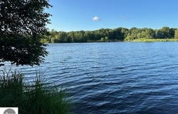 6900 W Shore Drive, Weidman, MI 48893