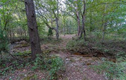 0 State Hwy.E, Oak Ridge, MO 63769