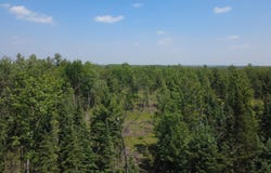 x Oleskie Trail, West Branch, MI 48661