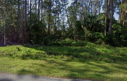 731 PARADISE Boulevard, GEORGETOWN, FL 32139