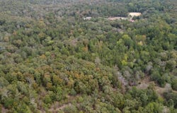 Heath Lane, Greenbrier, AR 72058