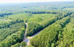 0 Highway 13, Lynn, AL 35575