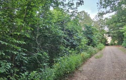 006 Tomahawk Slab Road, Saint Joe, AR 72675