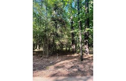0 Friendship, Frierson, LA 71027