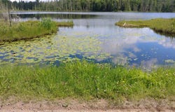 On JOHNSON LAKE RD, Haight Twp, MI 49912