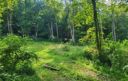 5855 Olney Run Road, Mcconnelsville, OH 43756