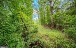 435 CONNELLY DRIVE, FREDERICKSBURG, VA 22406