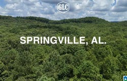 200 DAPHNE ROAD lot: 1, SPRINGVILLE, AL 35146
