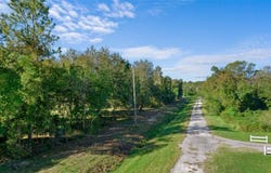 334 BIRCH BOULEVARD, GEORGETOWN, FL 32139