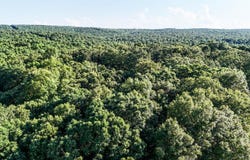 0 0 SE Rocky Rd/Ball Rd, Bradford, AR 72020