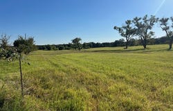 3733 Fm-52, Graford, TX 76449