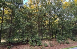 7117 E Old US Highway 64, Lexington, NC 27292