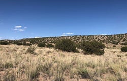 Lots 4&5 Santa California Subd, Medanales, NM 87510