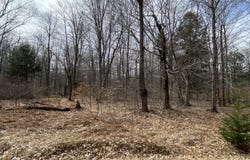 912 Wadi Road W, Pocono Lake, PA 18347