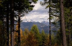 6024 Teakettle Road, Columbia Falls, MT 59912