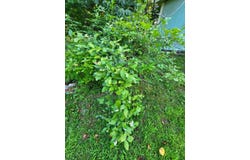 313 Waldo Station Road, Waldo, ME 04915