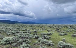 Tract 35 Monte Drive, Wisdom, MT 59761