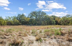 Tract 6 State Highway 6, Moran, TX 76464