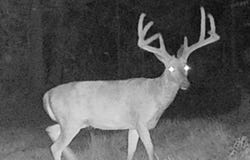 0 E 575 S, Markleville, IN 46056