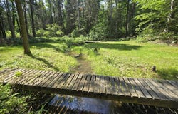 899 Bills Road, Mio, MI 48647