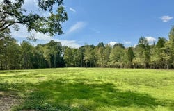 0001 Chapel Hill Road, Utica, MS 39175