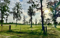 Tract 2 FM 2261, Shelbyville, TX 75973