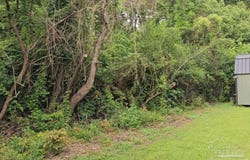 70 Juniper St, Mcdavid, FL 32568