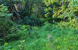 632 N Cherokee Street, Jonesborough, TN 37659