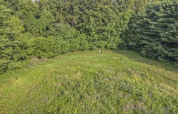 51244 Leach Road, Dowagiac, MI 49047
