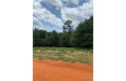 Deer Loop lot: 16, Camden, AL 36726