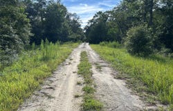 Tbd NE 11TH PLACE, WILLISTON, FL 32696