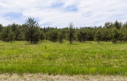 Lot 1, Augusta, WI 54722