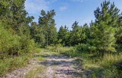 109 Old Sign Road County Road, Midway, TX 75852