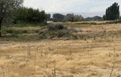 Tbd Patricia RD, Prosser, WA 99350