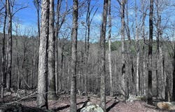 Hot Springs Village, AR 71909