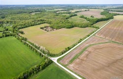 0 Flint Rd. (41+/- ac), Middletown, MO 63359