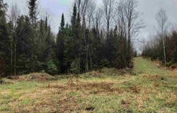 S Co Rd 519 Highway, Bessemer, MI 49911