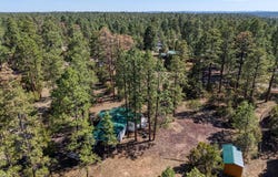 2905 Pine Rim Road, Overgaard, AZ 85933