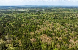 An County Road 104, ELKHART, TX 75839