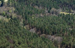 Attala Rd 4213, Sallis, MS 39160