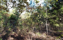 16426 Stone Ridge Road, Potosi, MO 63664
