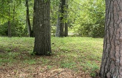 165 Hawks Pond Road, New Bern, NC 28562